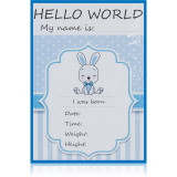 Cumpara ieftin KidPro Milestone Cards Bunny For a Boy carduri de referință