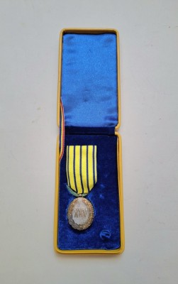 Semnul onorific - In serviciul Patriei foto