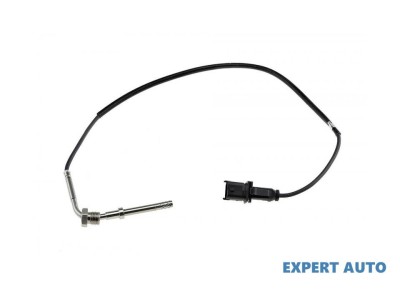 Senzor temperatura gaze dpf Iveco Daily 3 (2006-&amp;gt;) #1 foto