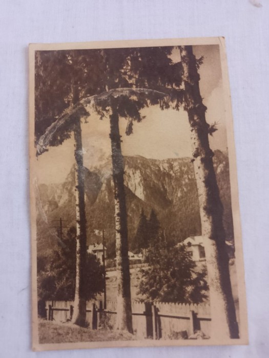 Carte postala busteni-vedere spre bucegi