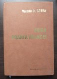 Valeriu D. Cotea - Vidra: poarta Vrancei