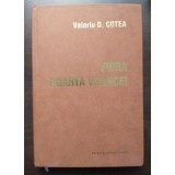 Valeriu D. Cotea - Vidra: poarta Vrancei