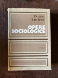 Petre Andrei - Opere sociologice (volumul 1)