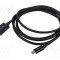 Cablu Goobay USB-C la DisplayPort 2m negru PVC 4K UHD