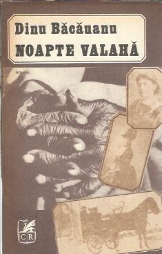 Noapte valaha - Dinu Bacauanu foto