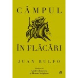 Campul in flacari - Juan Rulfo