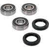 Kit Rulmenti Roata Spate BMW F650GS F700GS F800GS GT R 2006-2017 All Balls 25-1677