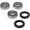 Kit Rulmenti roata spate BMW F650GS K72 F700GS F800GS F800GT F800R 2006-2017 All Balls 25-1677