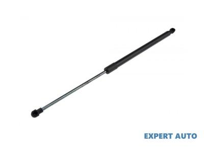 Telescop hayon Mercedes C-CLASS T-Model (S203) 2001-2007 #1 foto