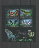 CENTRAL AFRICA 2013 FAUNA INSECTE FLUTURI