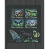 CENTRAL AFRICA 2013 FAUNA INSECTE FLUTURI