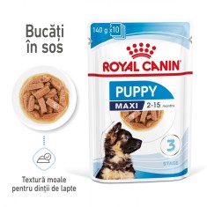 Royal Canin Maxi Puppy hrana umeda caine junior (in sos), 10 x 140 g