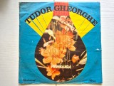 Disc Vinil LP Tudor Gheorghe - Primăvara (1989) Electrecord ST-EDE 03629, Muzică Folk, Folk Rock Rom&acirc;nesc, Clasat VG+