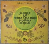 Albinita sau fetita care zbura deasupra orasului - Silvia Chitimia