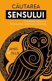 Căutarea sensului - Paperback brosat - James Hollis - Herald