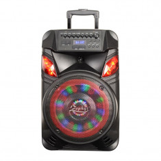 Boxa portabila karaoke Zephyr, 300 W, 4 Ohm, Bluetooth, 12 inch foto