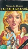 Cumpara ieftin Laleaua neagra (ed. Garamond) - Alexandre Dumas