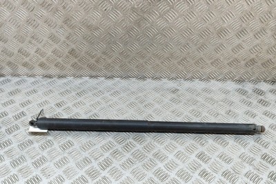 Amortizor haion dreapta TESLA MODEL X 2017 OEM: 1065669-00-A 25806900 foto