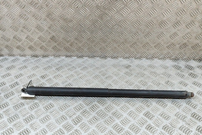 Amortizor haion dreapta TESLA MODEL X 2017 OEM: 1065669-00-A 25806900