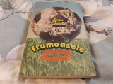 Frumoasele duminici