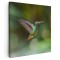 Tablou pasare colibri in zbor, verde 2001 Tablou canvas pe panza CU RAMA 30x30 cm