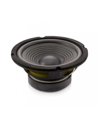 Difuzor HI-FI HOME 6.5&amp;quot; 165mm 90/160W 8 ohmi 55Hz-5kHz Carguard HSP002 foto