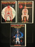 3 Cursuri rare de MANTAK CHIA &ndash; GREATEST KAN AND LI  Gathering the Cosmic Light  Enlightenment-Growing the Immortal Fetus Birth of the Immortal Fetus