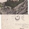Cetatea Neamtului (Neamt)