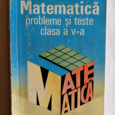 Matematica. Probleme si teste clasa a V-a, Victor Raischi, 1994