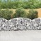 Gossi cos gabion arcuit 200x30x80/100 cm fier galvanizat