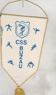bnk div Fanion CSS Buzau foto