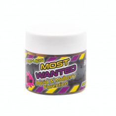 Secret Baits Most Wanted Pop-up 15mm