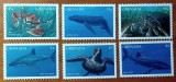 Cumpara ieftin GRENADA-&#039;&#039;FAUNA MARINA-PESTI&#039;&#039; SERIE 6VAL.-MNH-NESTAMPIL.-VEZI SCAN