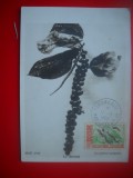 HOPCT MAXIMA NR 1434 FRUCTE / CULTURI MALGASE-REPUBLICA MALGASA 1960