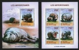 COASTA DE FILDES 2014 FAUNA ANIMALE SALBATICE HIPOPOTAMI