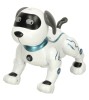 Jucarie interactiva, caine robot acrobatic, inteligent, cu telecomanda, 23x13 x 21,5cm, KIK