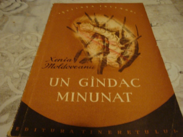 Xenia Moldoveanu - Un gandac minunat - 1956