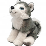 Jucarie de plus catelus Husky, 20 cm, Wild Republic