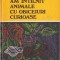 Am &icirc;nt&acirc;lnit animale cu obiceiuri curioase