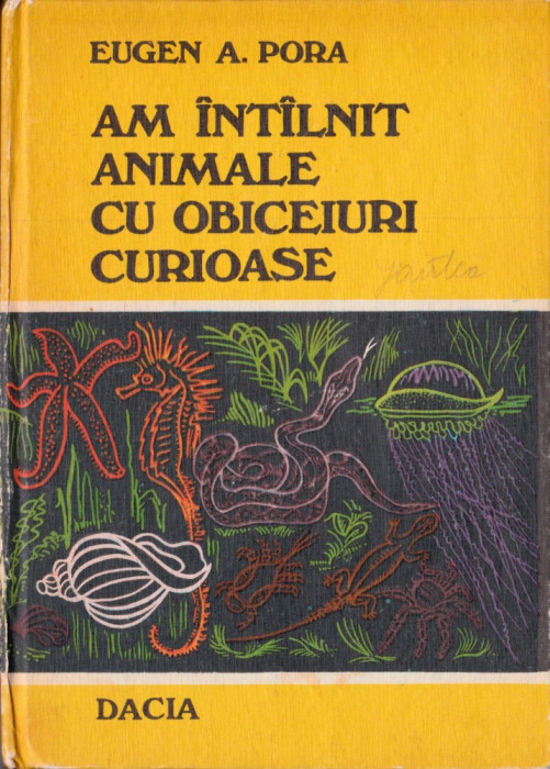 Am &icirc;nt&acirc;lnit animale cu obiceiuri curioase