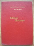 NICOLAE TARANU - CILIMURI BANATENE - volumul I - 1971