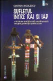 SUFLETUL INTRE RAI SI IAD. O VIZIUNE TRADITIONALA ROMANEASCA ASUPRA JUDECATII PARTICULARE-COSTION NICOLESCU-355585
