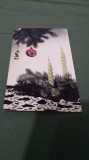 Cumpara ieftin CARTE POSTALA FELICITARE CIRCULATA
