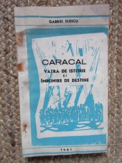 CARACAL - GABRIEL ELIESCU foto