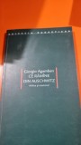 Ce ramane di Auschwitz - Giorgio Agamben