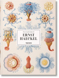 Ernst Haeckel | TASCHEN, 2019