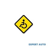 Abtibild persoane cu dizabilitati cod: tag 041 / t2 Alta marca Alt model #7