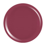Cumpara ieftin Gel Colorat UV PigmentPro LUXORISE - Cranberry Spice, 5ml