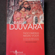 THOCOMERIUS , NEGRU VODA , UN VOIEVOD DE ORIGINE CUMANA LA INCEPUTURILE TARII ROMANESTI - NEAGU DJUVARA