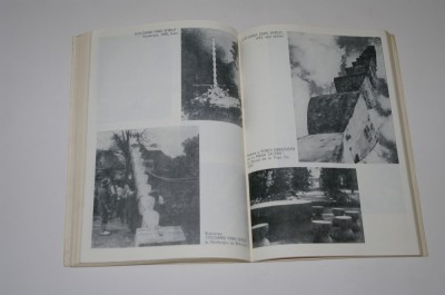 Brancusi - Nina Stanculescu foto